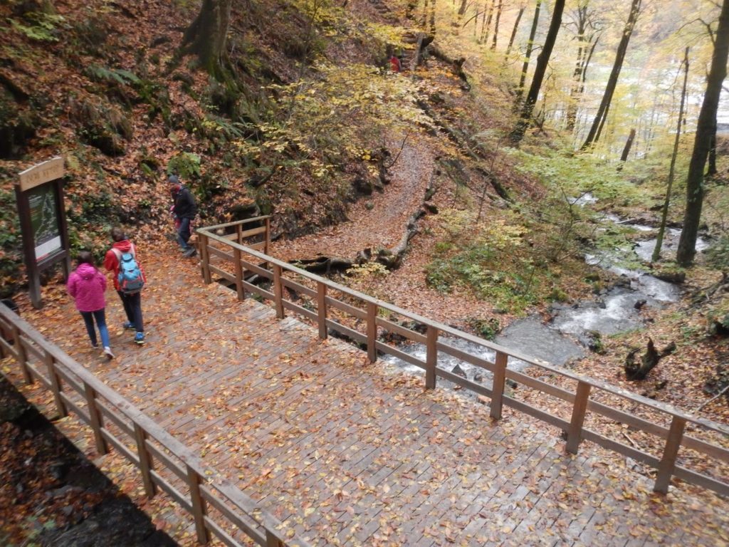 Тропа здоровья фото сочи